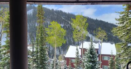 Fabulous 2-bedroom condo at Eagle Point, ski-in/ski-out