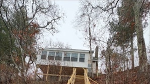 Een houten trap leidt naar een huis, omringd door bomen.