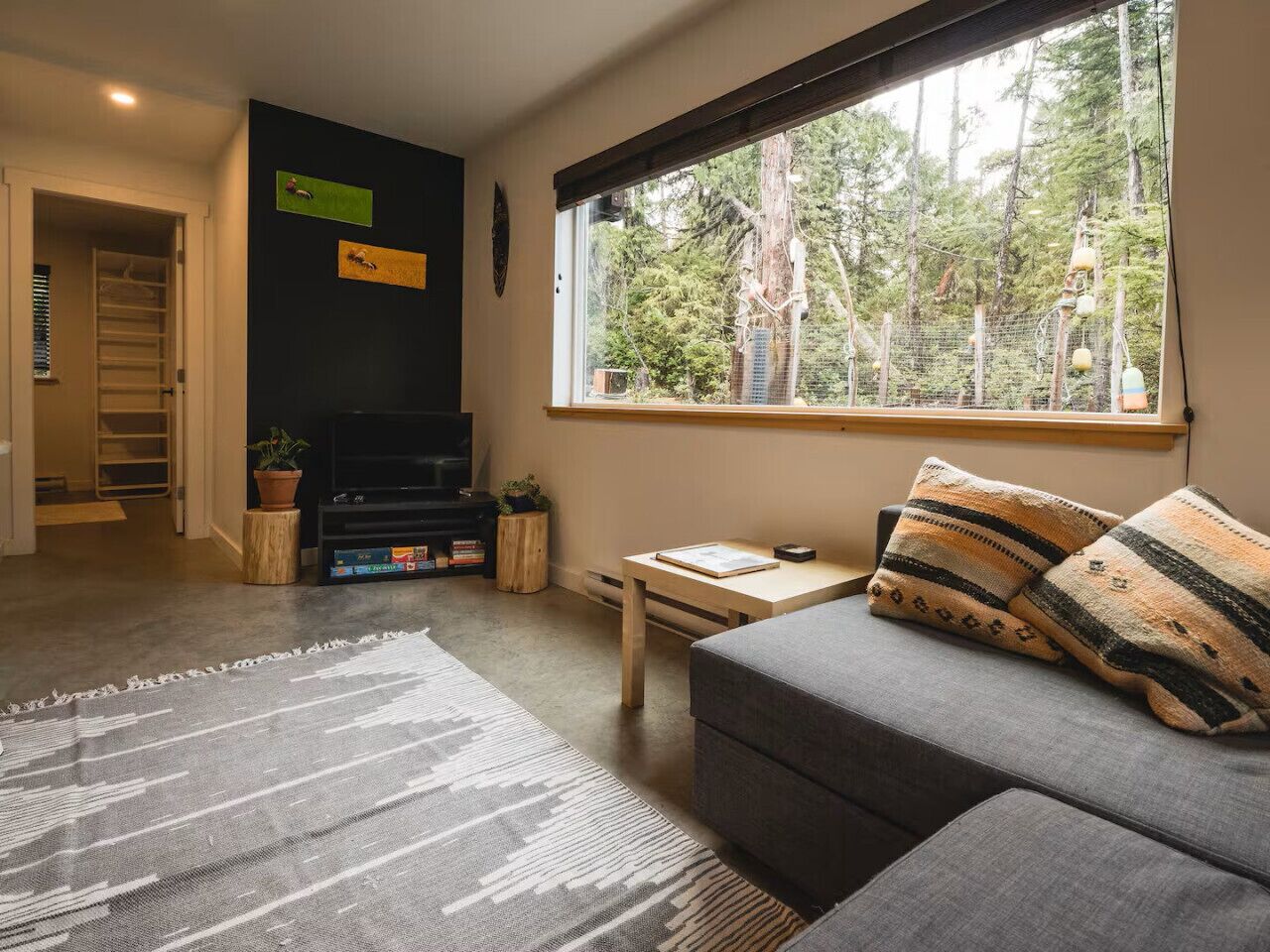 TV, fireplace, books