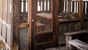 A rustic wooden building with a covered porch, a wooden door with a mesh screen, and a stone wall.