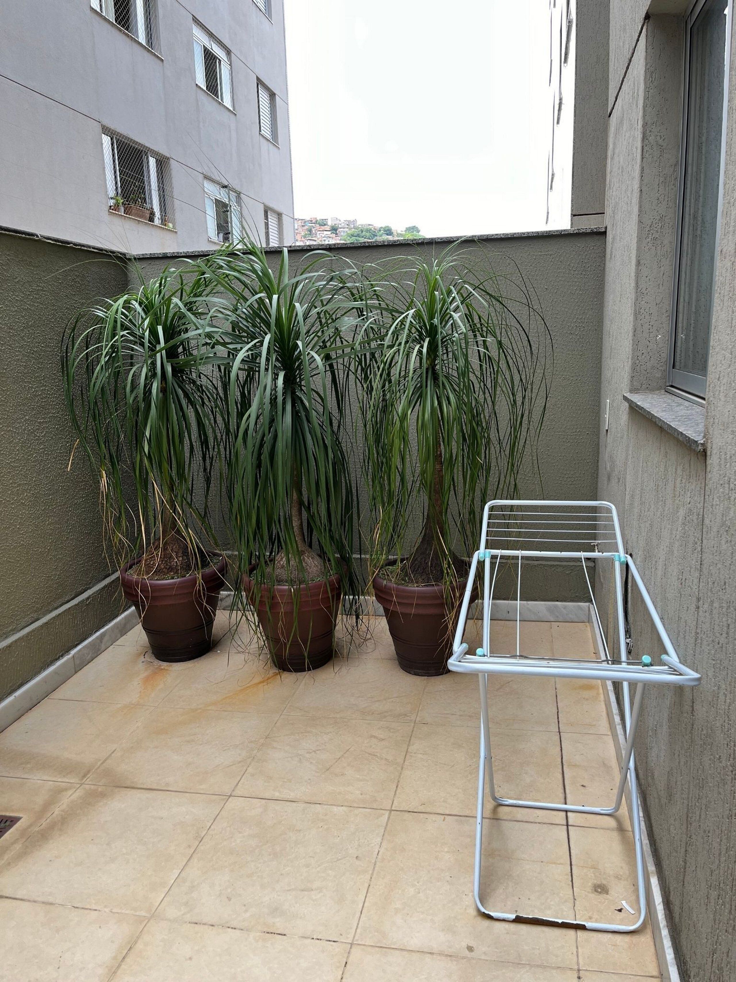 Un balcón con plantas en macetas y un tendedero de metal.