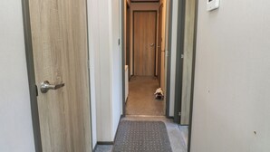 A narrow hallway with a wooden door on the left, a carpeted area with a small rug, and a light switch on the wall.