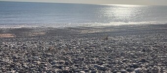3 bedroom family holiday home Budleigh Salterton Devon . Perfect for families