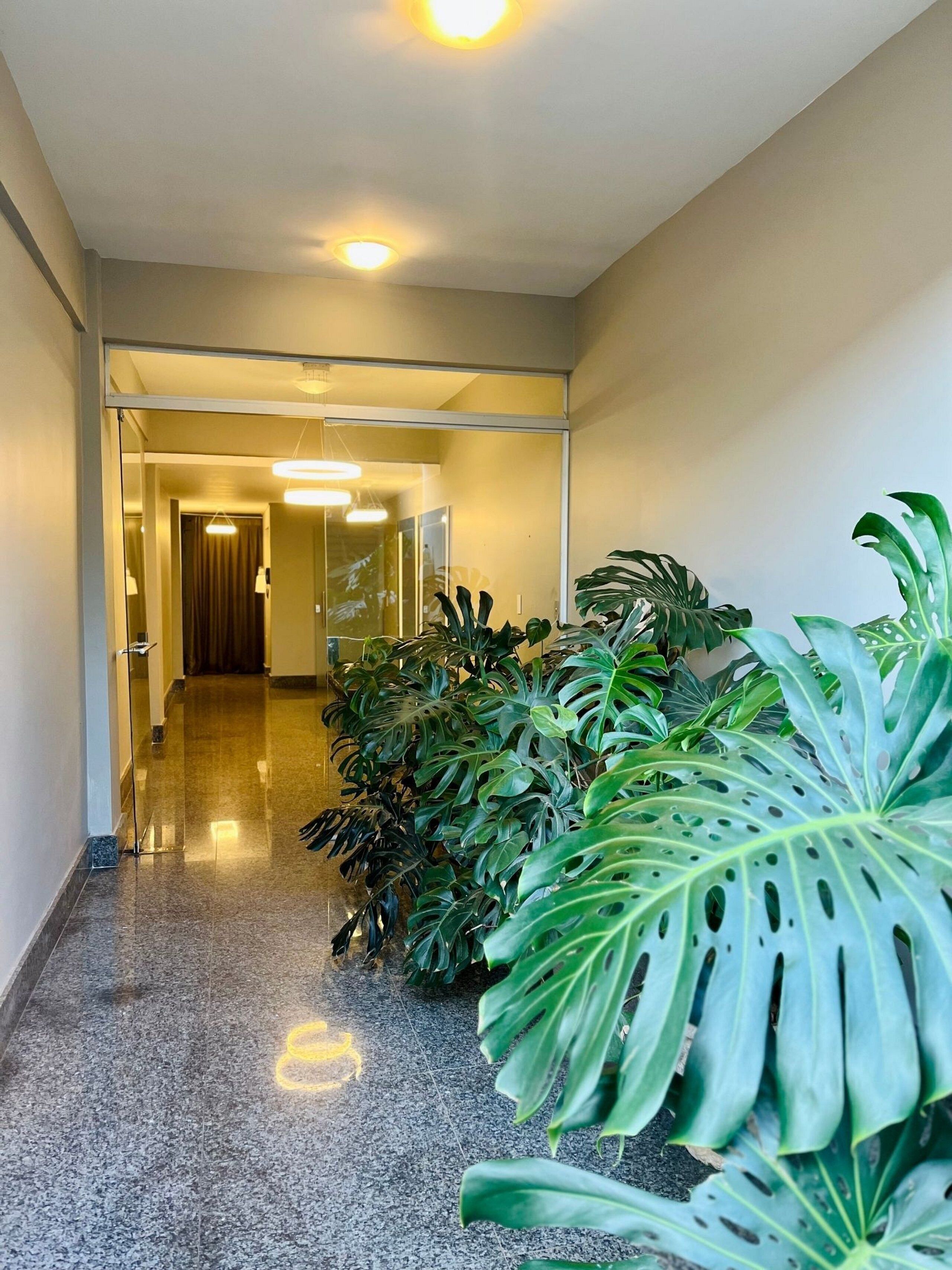 Apartamento | Parte interna