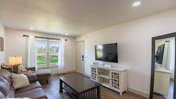Smart TV, chimenea, libros