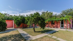Une cour avec un chemin, un petit arbre et un bâtiment à la façade rouge.