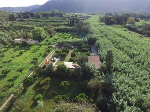 An aerial view of a rural landscape with fields, scattered trees, and a few buildings. - L'Agrumeto-Casa Cedro. Porto Tramatzu beach (Teulada)