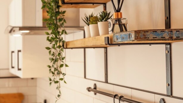 A kitchen with white cabinets, a wooden shelf with plants, and a metal rack. - Ty Llwyd Ceibwr - Modern apartment (Saint Dogmaels)