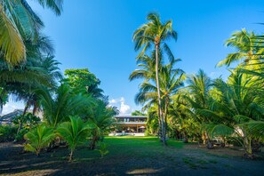 Villa | 4 bedrooms - Villa Assinie Beachfront Home With Direct Ocean Access (Parrita)