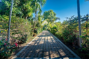Um caminho bordeado por vegetação exuberante e árvores, conduzindo a um edifício.