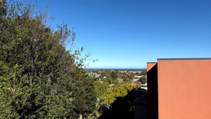 Blick auf eine Wohngegend mit dichtem Grün und blauem Himmel.