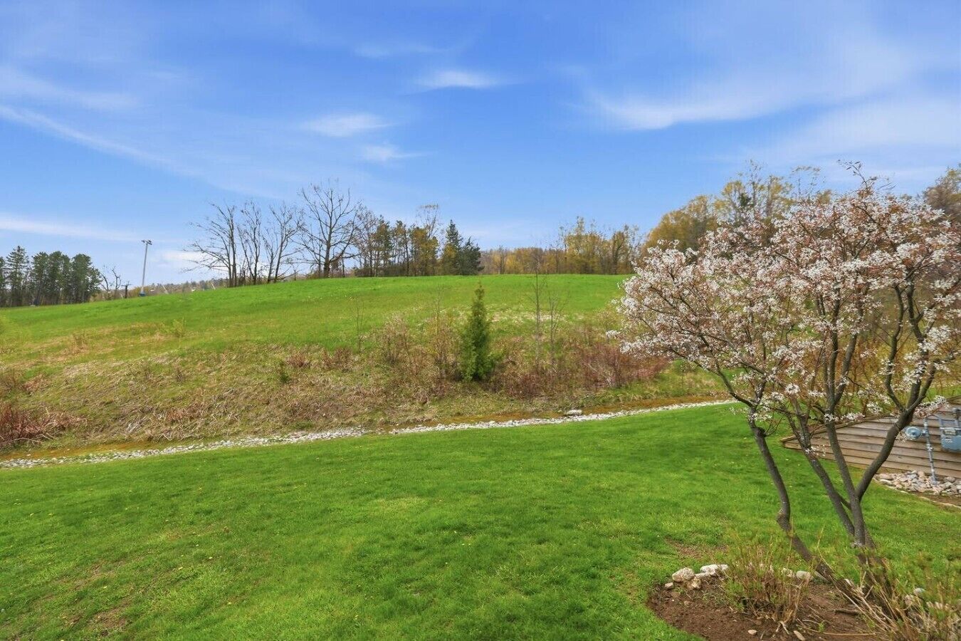 A grassy field with a small tree and a wooden structure in the background.