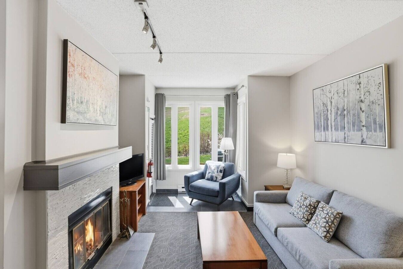 A modern living room with a fireplace, a sofa, a coffee table, and a television.