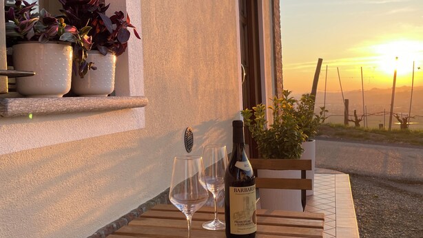 A table with a bottle and two glasses, potted plants, and a view of the sunset.