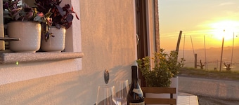 Vacation home Barbaresco - Liber