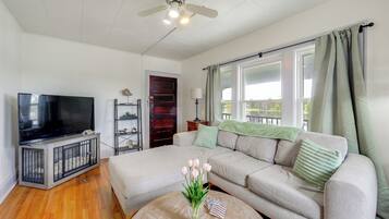 TV, fireplace, books