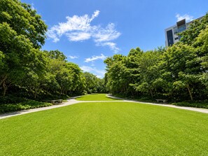 A park with a well-maintained lawn, trees, and a pathway. - Modern Apartment on a High Floor in Santa Tecla (Santa Tecla)