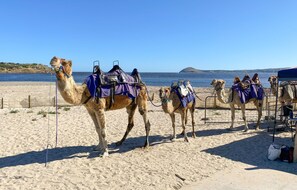 在海灘附近