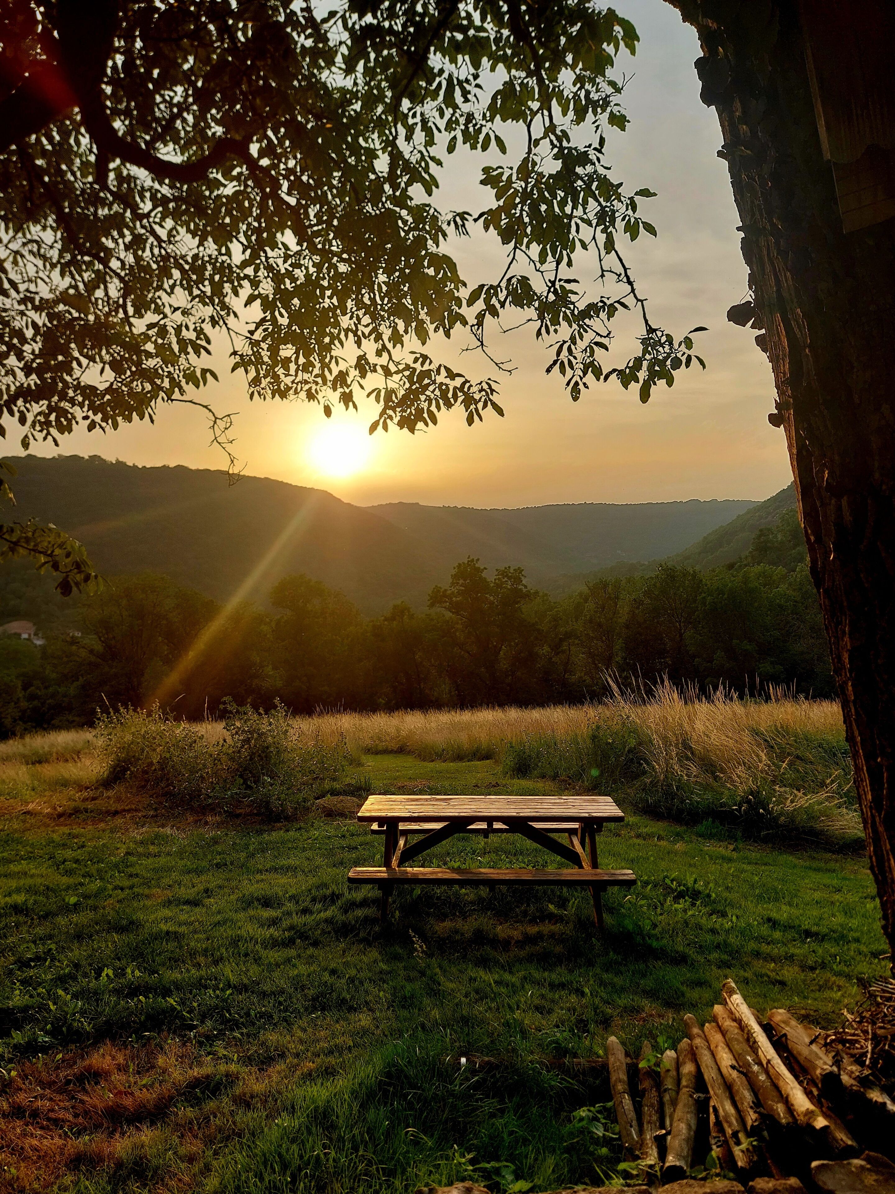 A picnic table in a grassy field with a sunset in the background.