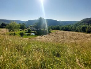 Ländliche Landschaft mit einem Haus, einem Teich und umgebender Vegetation.