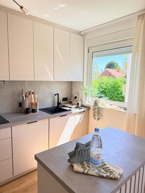 Fridge, oven, stovetop, dishwasher