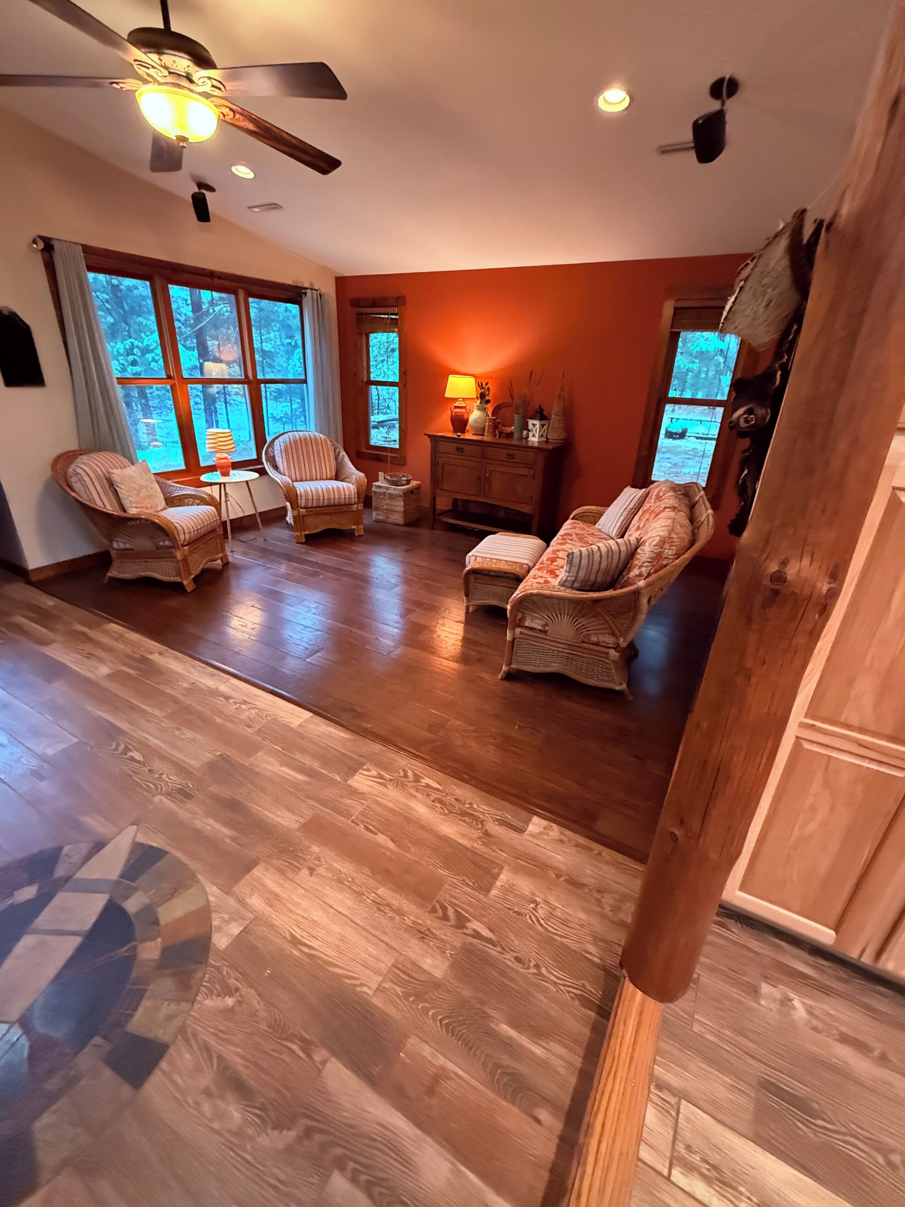 Smart TV, fireplace, books, stereo