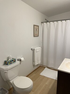 Bathroom - King Lodge Room 1  in perfect Parrottsville TN (Parrottsville)