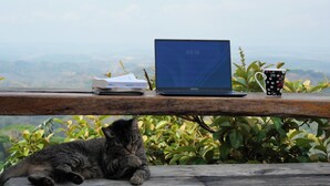 Um laptop, uma caneca e um livro em um parapeito, com um gato deitado embaixo.