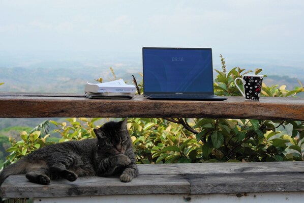 A laptop, a mug, and a book on a ledge with a cat lying below. - Eco Office for Digital Nomads | Solar + Starlink + Views (Puntarenas)