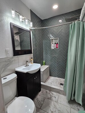 Shower, hair dryer, towels, toilet paper