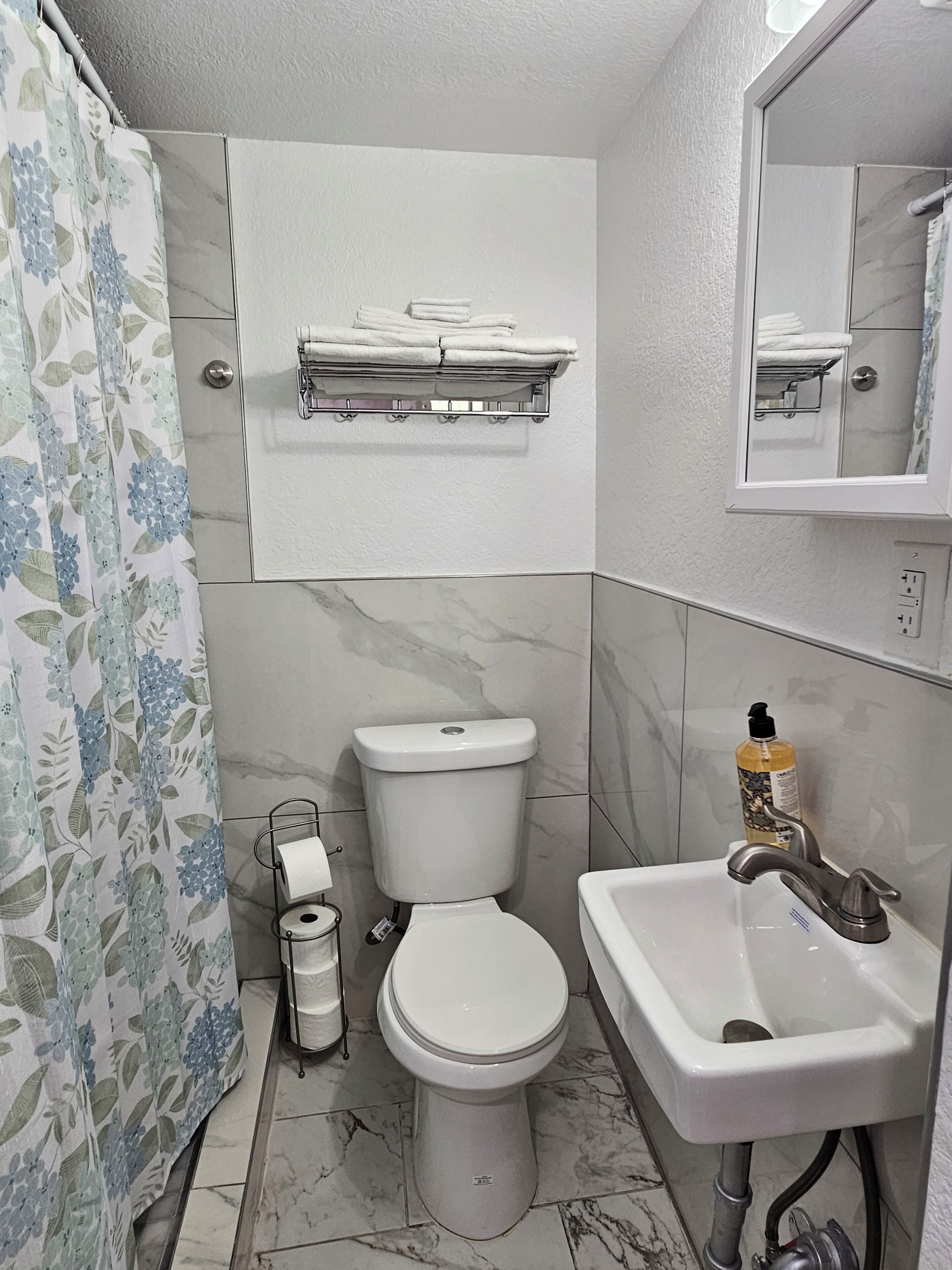 Douche, sèche-cheveux, serviettes fournies, papier toilette