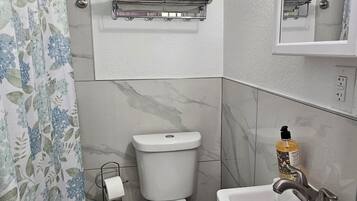 Douche, sèche-cheveux, serviettes fournies, papier toilette
