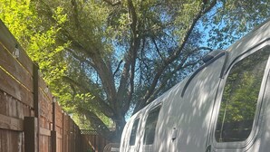 A stationary train car parked on gravel, adjacent to a wooden fence, with trees overhead.