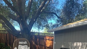 A backyard with a wooden deck, a hanging chair, a grill, and a fenced area.