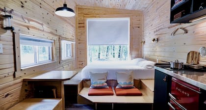 Family friendly dual-cabin in Sam Houston National Forest