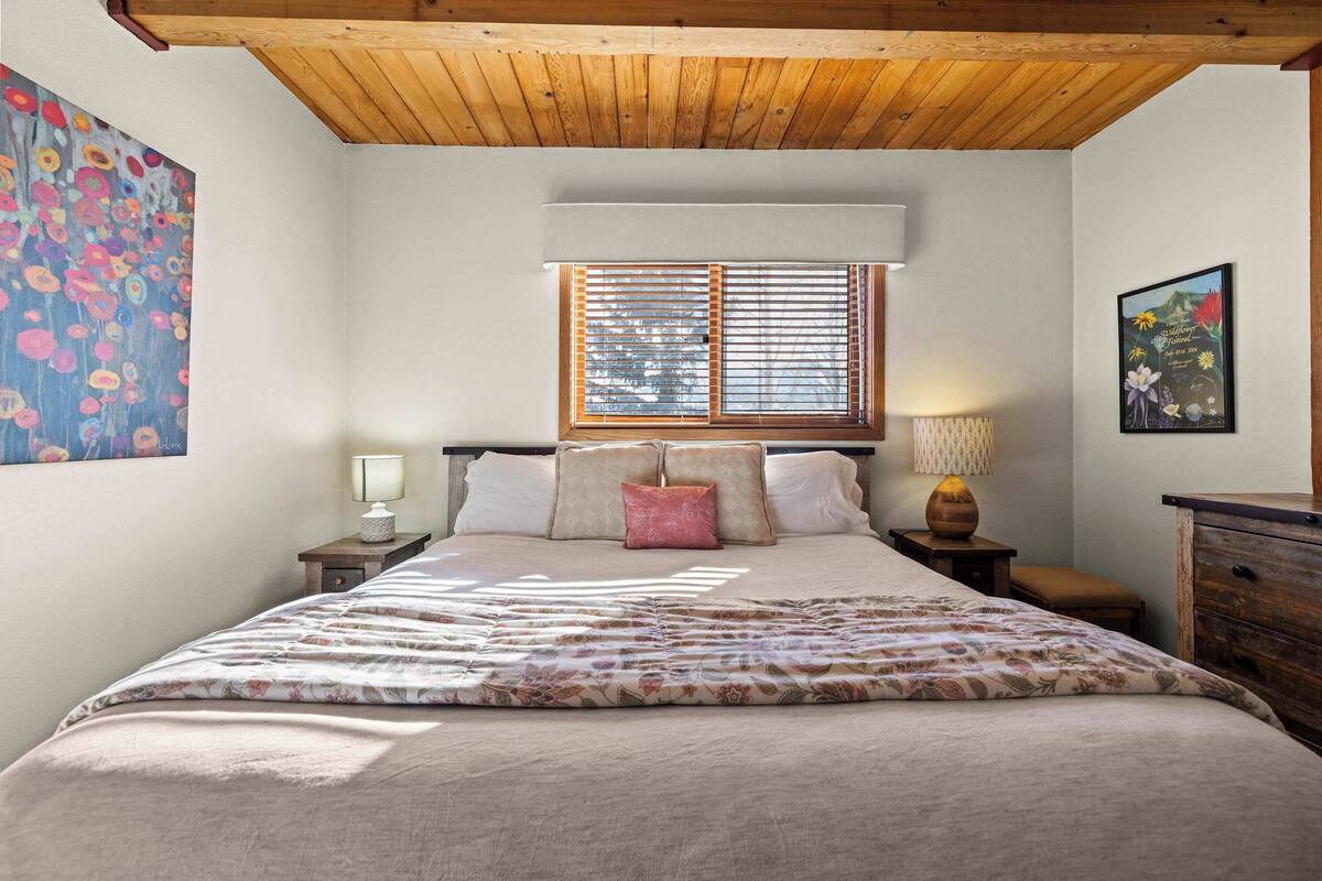 Condo, 1 habitación, no se aceptan mascotas, vista a la montaña | Tabla de planchar con plancha, wifi gratis y decoración personalizada 