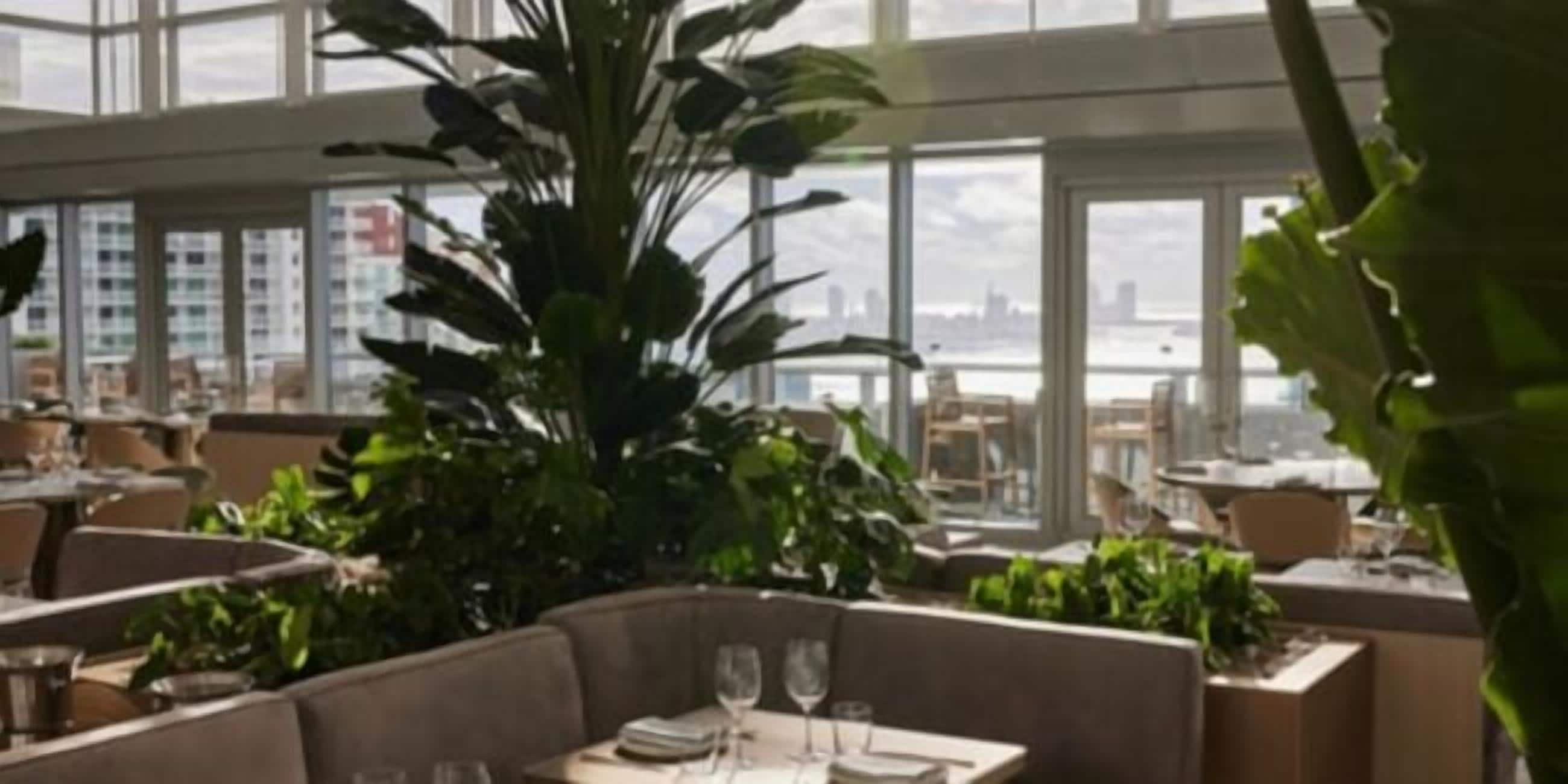 Terrasse sur le toit
