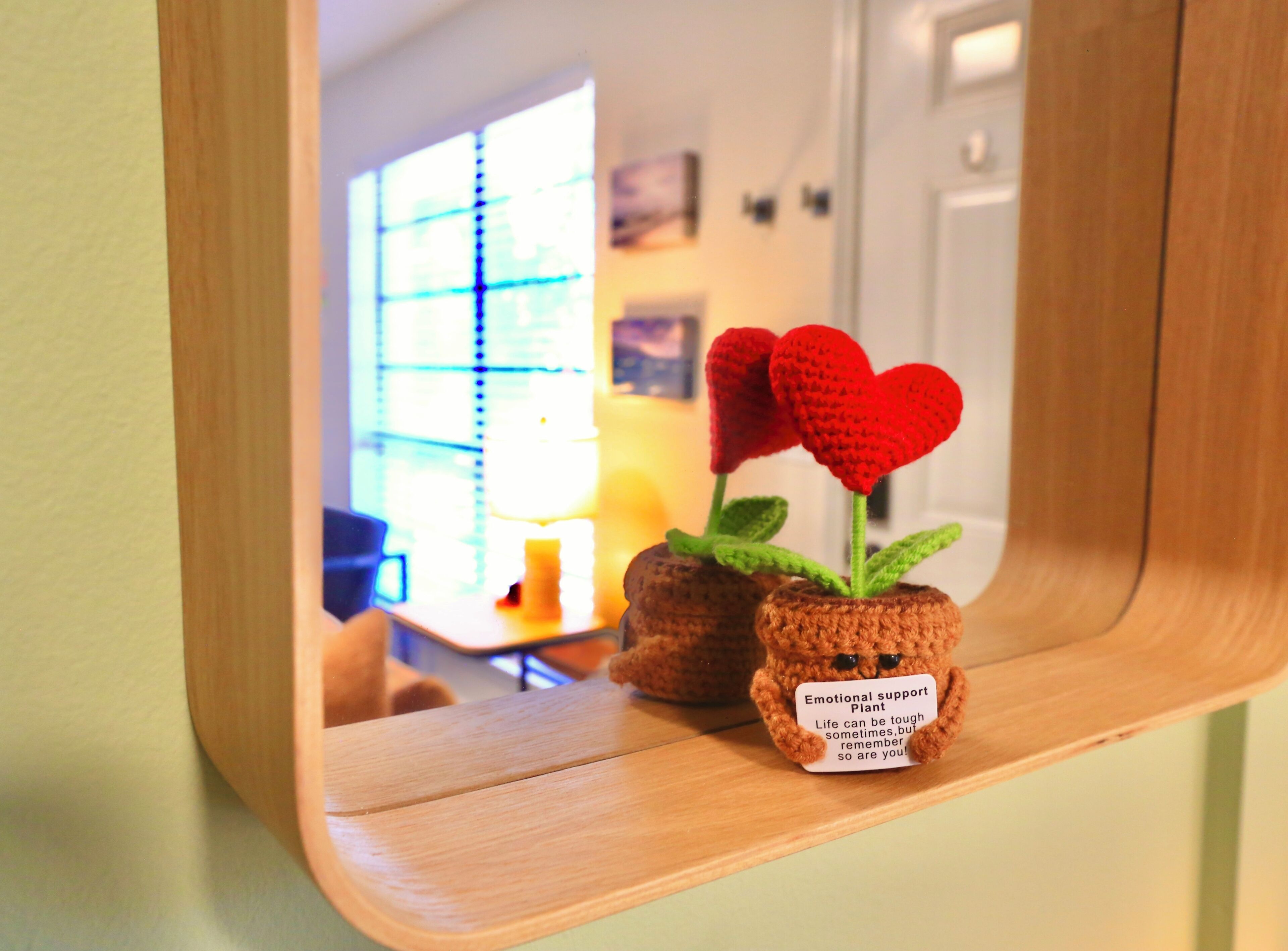 Una repisa de madera con una planta de ganchillo y un letrero que dice 'Planta de apoyo emocional'.