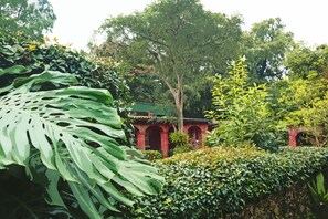 施設の敷地