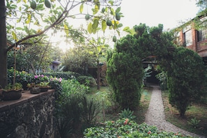 Um caminho no jardim cercado por plantas e árvores diversas.