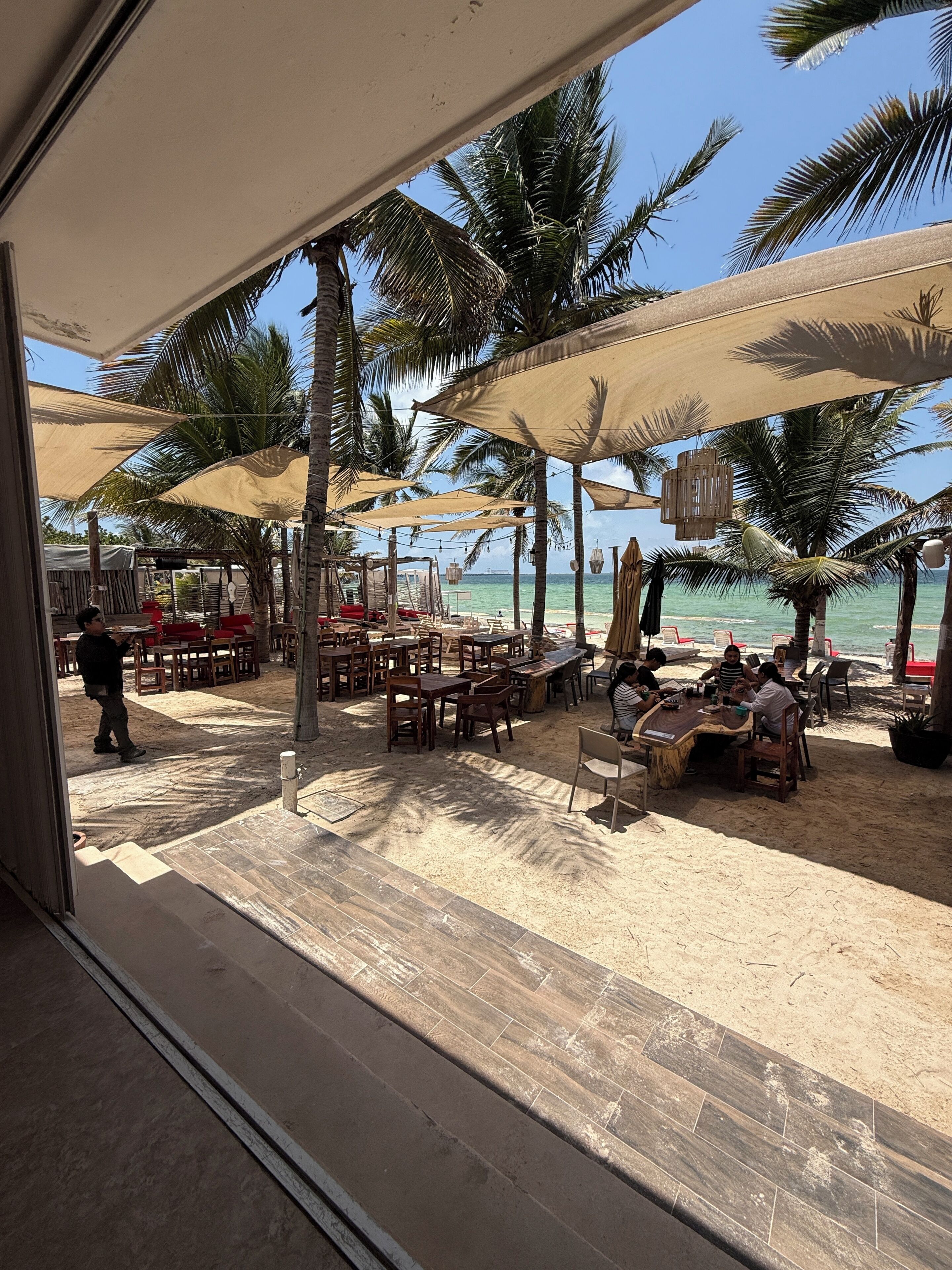 An outdoor seating area with tables and chairs, palm trees, and a view of the beach.