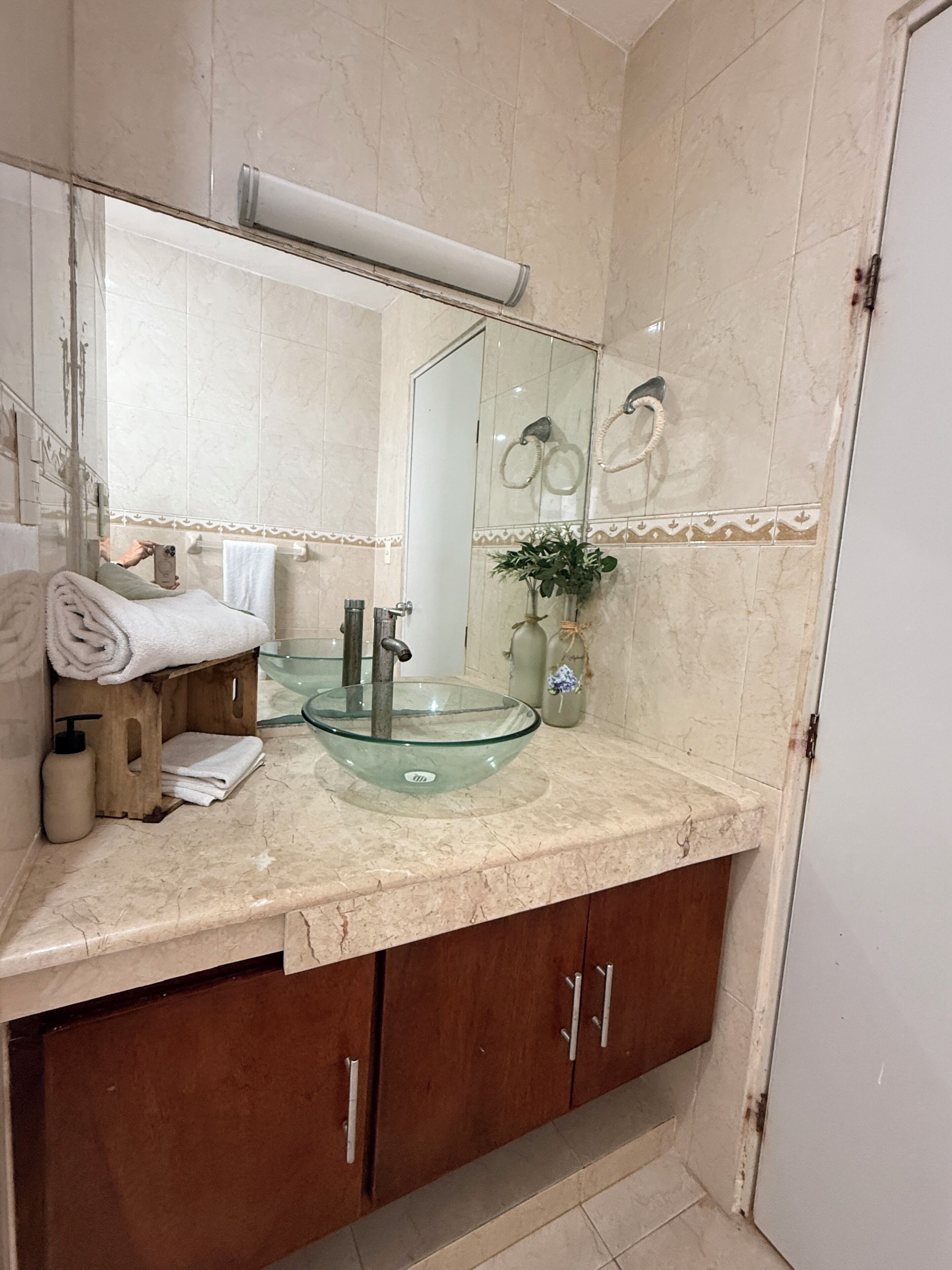 Un baño con un lavamanos de vidrio, un espejo, un toallero y una planta.