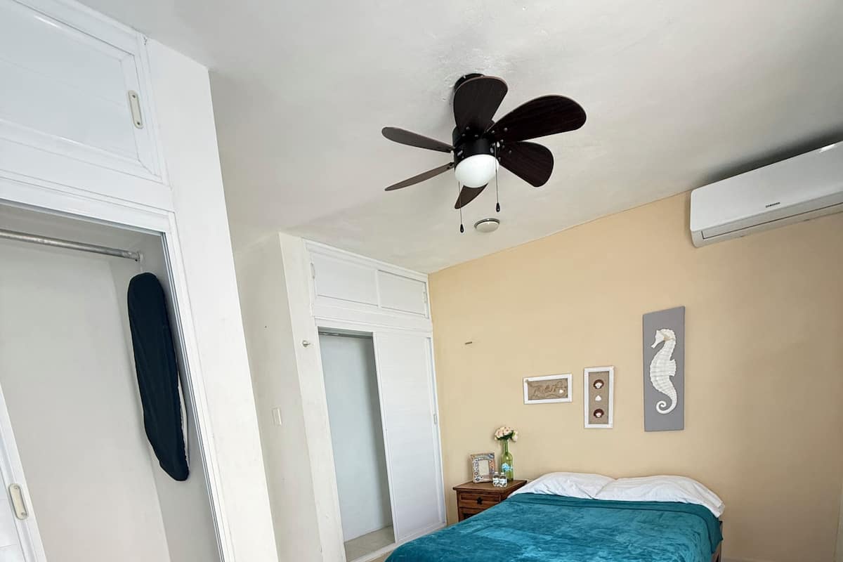 A bedroom with a bed, a ceiling fan, a wardrobe, and a door.