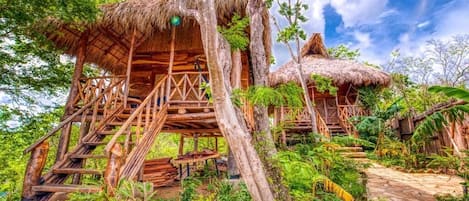 Una casa del árbol de madera con techo de paja, rodeada de exuberante vegetación y un sendero de piedra.
