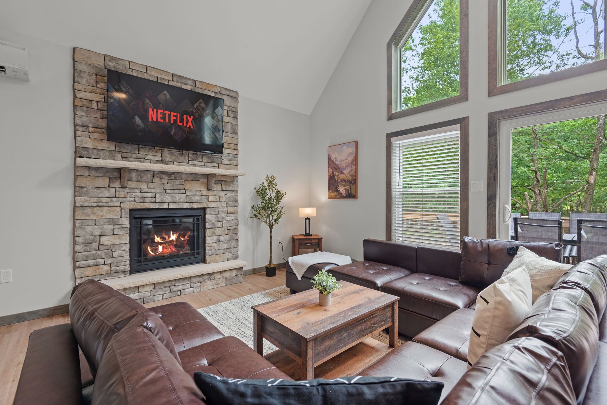 Smart TV, fireplace, video games, books