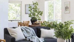 A modern living room with a dark sofa, a round coffee table, and a large window. - West Shore Waterview, (walk to lake & North Bay!) (Lake Arrowhead)