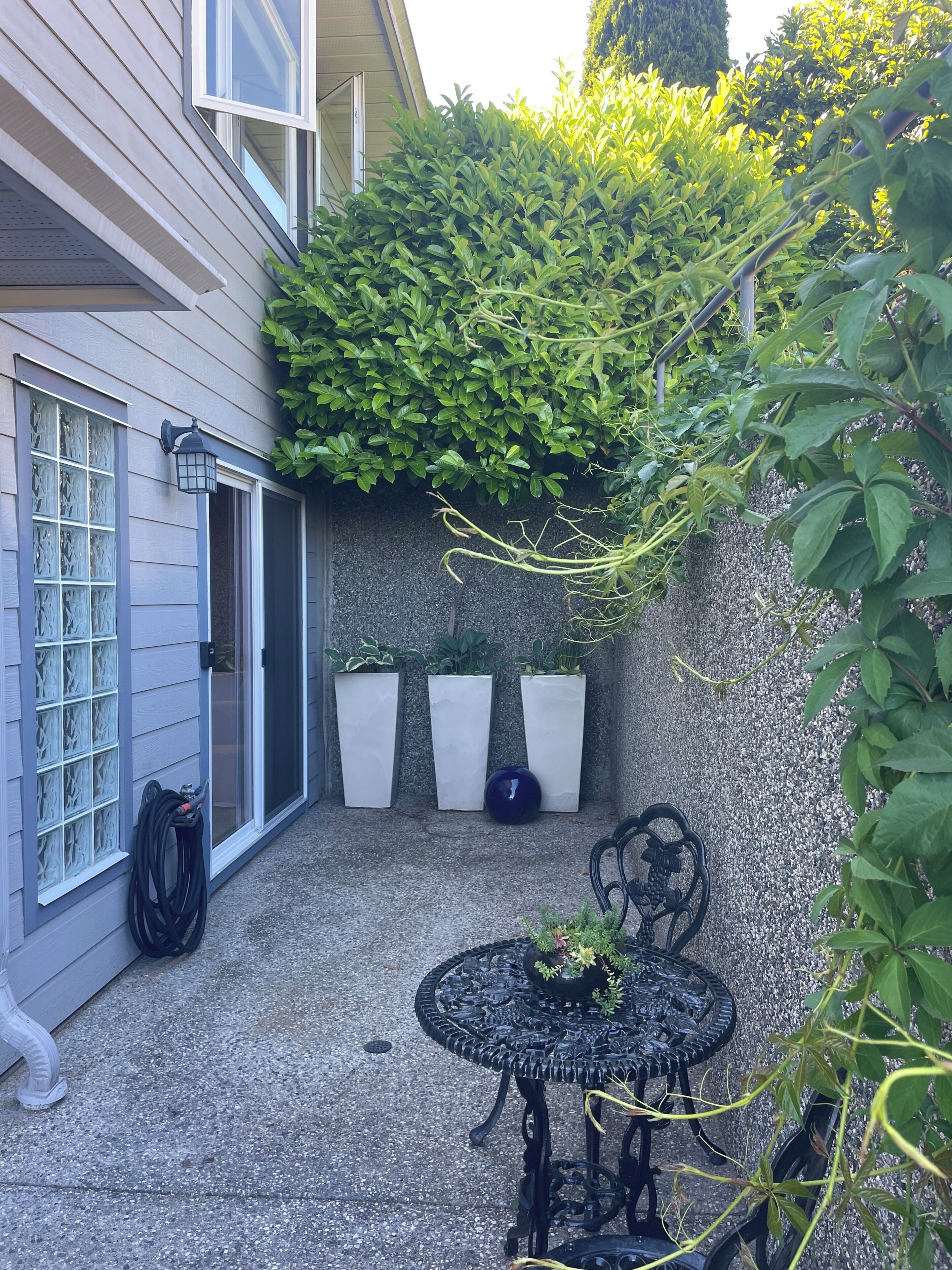 Terassi/patio