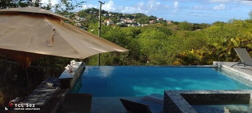 Wayne's Amazing Villa 4
