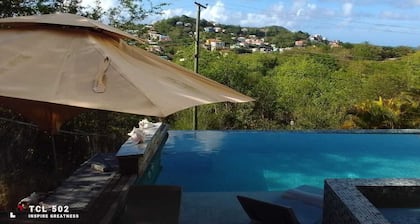 Wayne's Amazing Villa 4