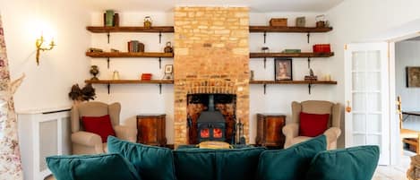 TV, fireplace, books